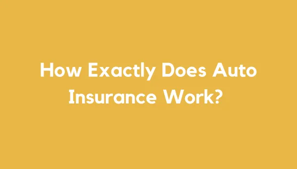 How exactly does auto insurance work?