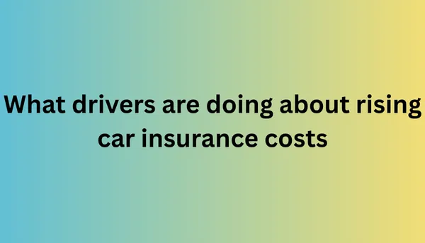 What drivers are doing about rising car insurance costs