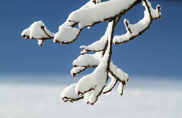 Winter Winter