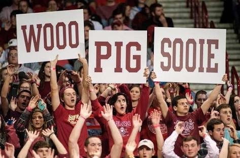 Razorback game wooo pig sooie sign
